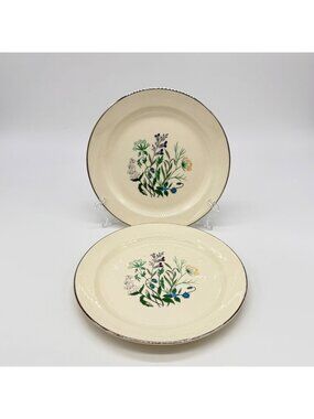 Vintage Hallcraft Eva Zeisel Bouquet Dinner Plate By Hall China